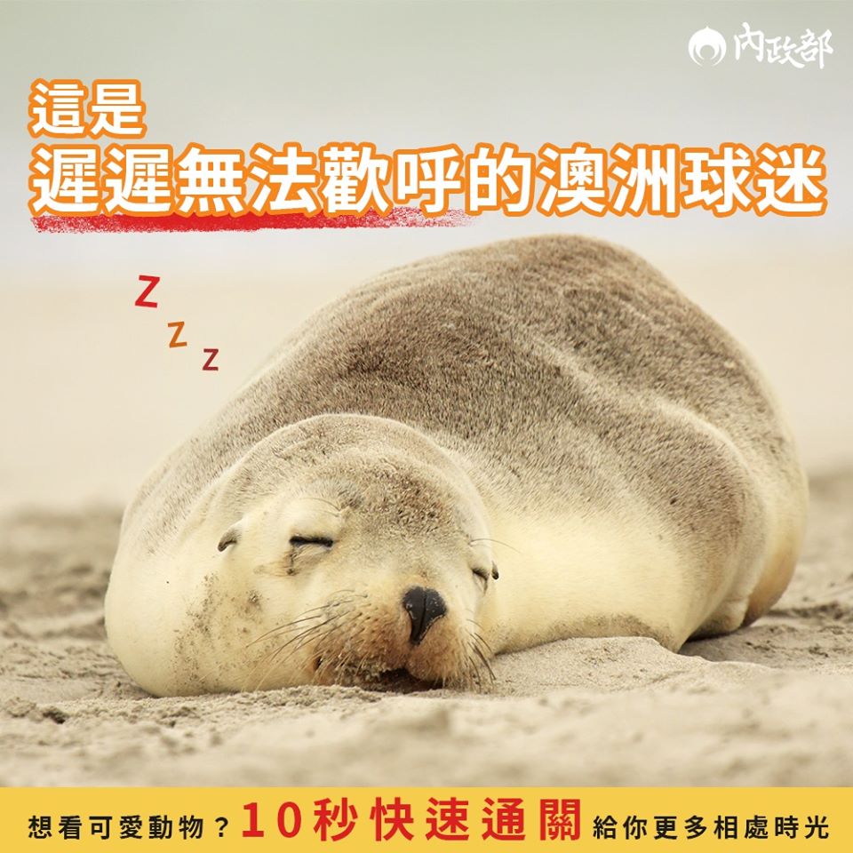 這是看似十分疲累而「遲遲無法歡呼的澳洲球迷」。 圖：翻攝自內政部臉書