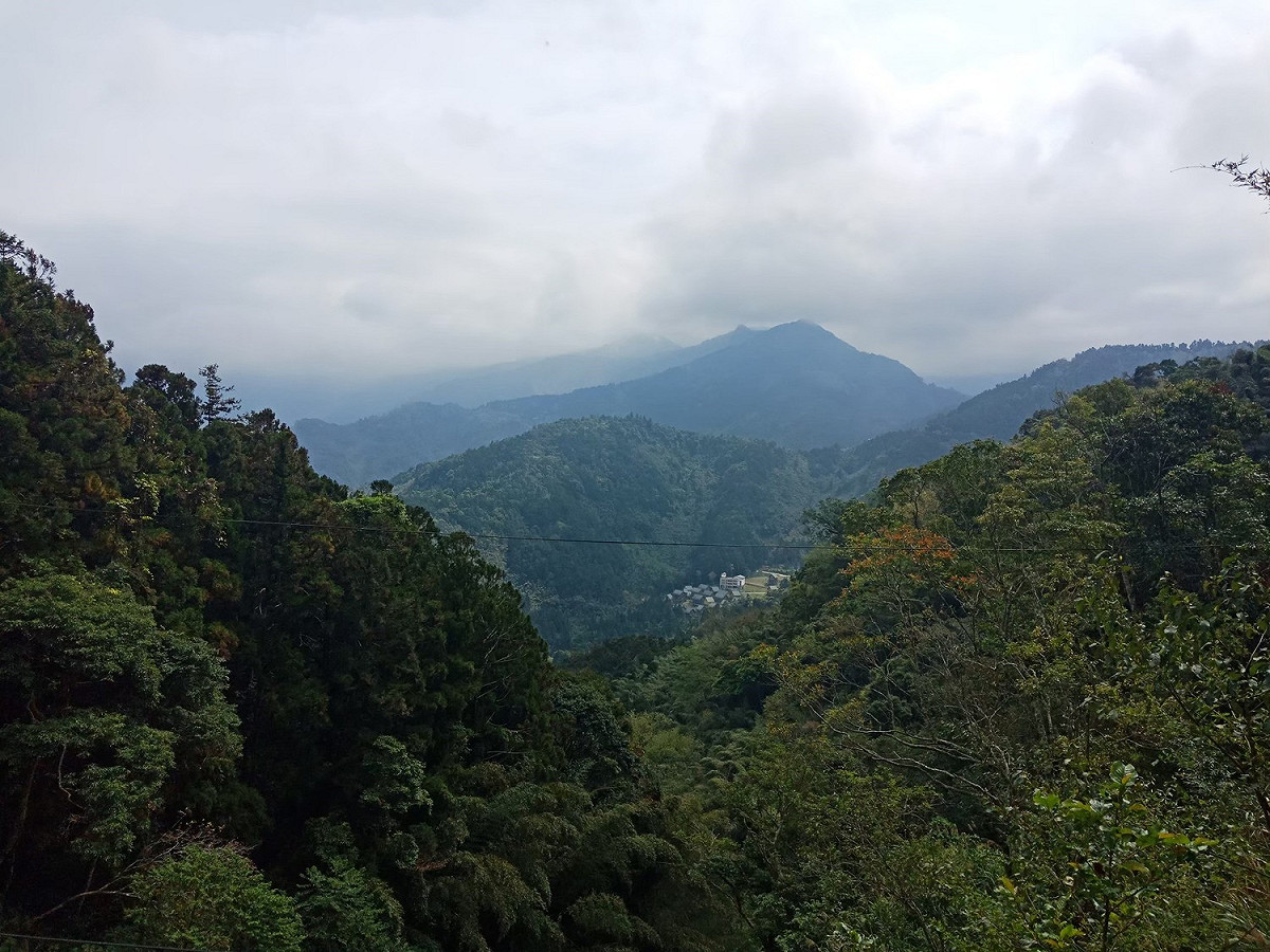 疾管署表示，民眾應注意防蜱叮咬，避免在草地、樹林等環境中長時間坐臥，如需進入這些區域，應著淺色長袖衣褲、手套及長靴等保護性衣物，並將褲管塞進襪子或鞋子裡 圖：閻芝霖/提供（示意圖）