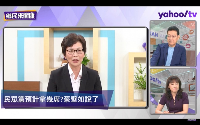 蔡壁如指出，民眾黨內部認為，吳的婚姻狀態不至於是不能參選的原因。 圖/翻攝自yahoo!tv節目
