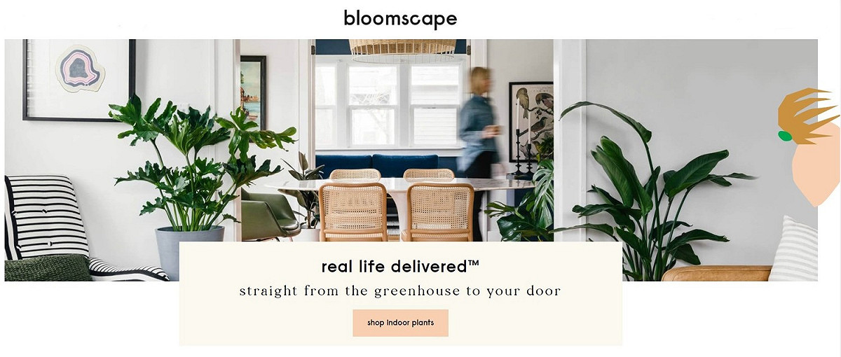 植栽電商 Bloomscape 以 D2C 販售各式室內植物，替生活帶來綠色氣息。 圖：取自 Bloomscape 官網