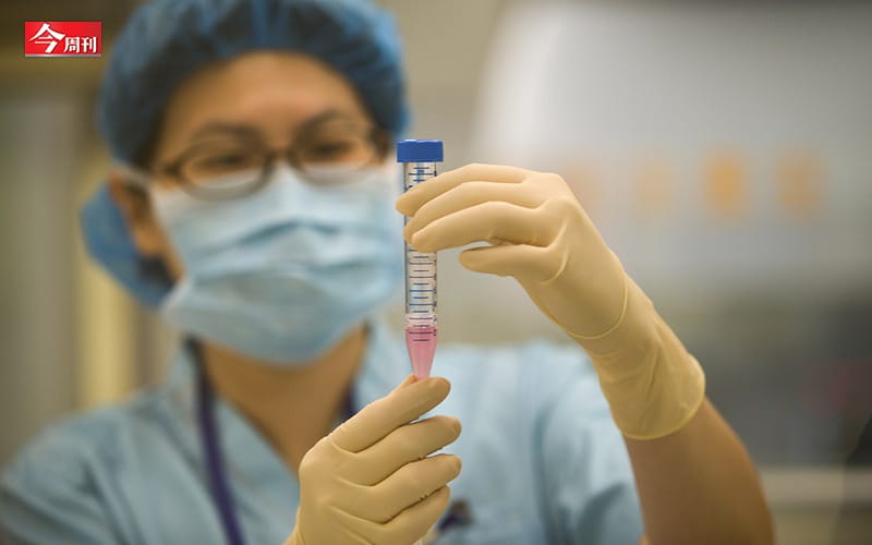 隨著婦女生育年齡上升，卵巢漸漸衰竭、無法取卵，已經是不少夫妻做試管嬰兒時碰到的困境。 圖：今周刊/提供