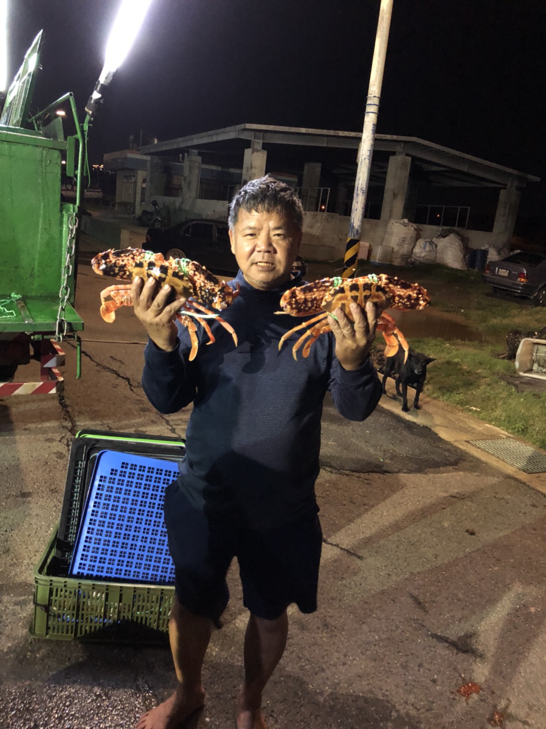 萬里漁民捕獲肥美花蟹。  圖：新北市漁管處／提供