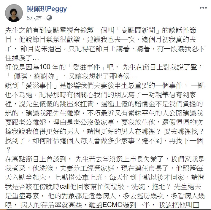 陳佩琪指出，台灣這幾年來的政治環境與生態，讓人感受從政之可怕。 圖：翻攝自陳佩琪臉書