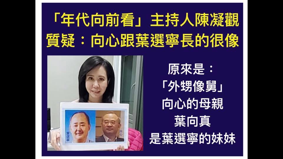 政論節目「年代向前看」曾以照片比對，討論向心與葉選寧長的很像。