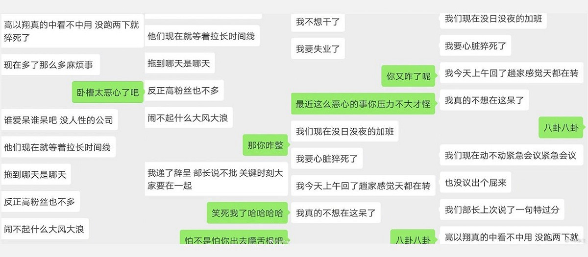 網路流傳浙江衛視高層說出「高以翔真的中看不中用」、「沒跑兩下就猝死了」等爭議言論。 圖：翻攝自微博