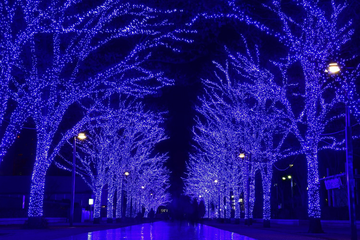 今年東京澀谷的「青之洞窟」燈光秀已經盛大登場。 圖：翻攝自青之洞窟官網