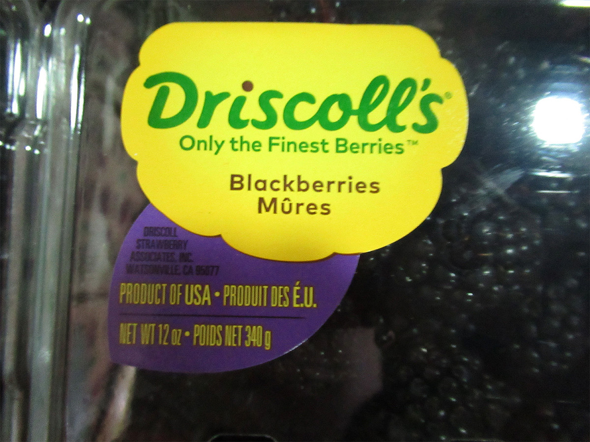 高雄前鎮區好市多進口之「DRISCOLL'S黑莓」被檢出殺蟲劑殘留不符我國規定，331公斤貨品全數退回或銷毀。 圖：食藥署／提供