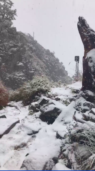 雪霸保育志工鄧安美表示，雪東4.0k以上下雪且開始有積雪，並提醒上山的山友注意安全。 圖：雪霸保育志工鄧安美/授權提供