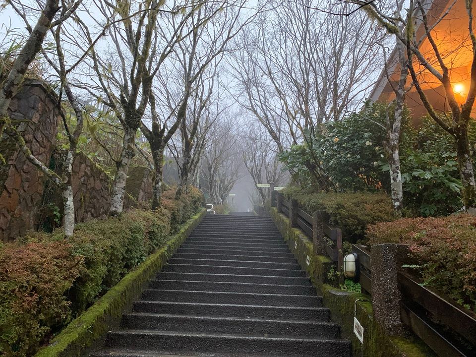 根據太平山遊樂園區官方貼文，今（7）日山上下雪機率不高。 圖：取自太平山國家森林遊樂區官方臉書