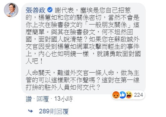 國民黨副總統候選人張善政在駐日代表謝長廷臉書留言回應「何處惹塵埃」，遭近300網友反酸。 圖：翻攝自謝長廷臉書