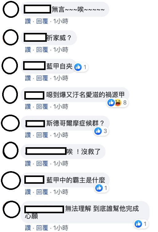 對於祈家威不支持總統蔡英文，網友口出惡言攻擊他。 圖：翻攝自文翔政論臉書