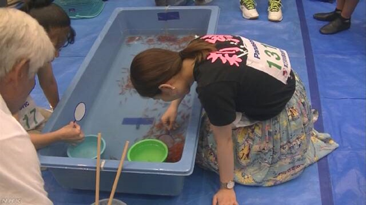 日本一名女高三生三宅莉緒靠撈金魚「一技入學」錄取大學。 圖：翻攝自 NHK