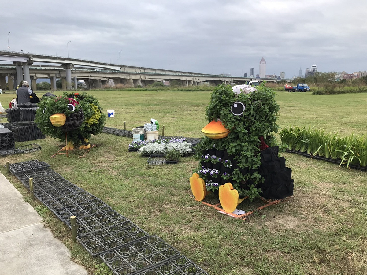 綠雕鴨鴨用花草種植於3米高的鋼構骨架，從草地上長出來。 圖：新北市政府高灘地工程管理處／提供