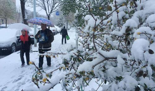 北京降雪。 圖 : 翻攝自微博