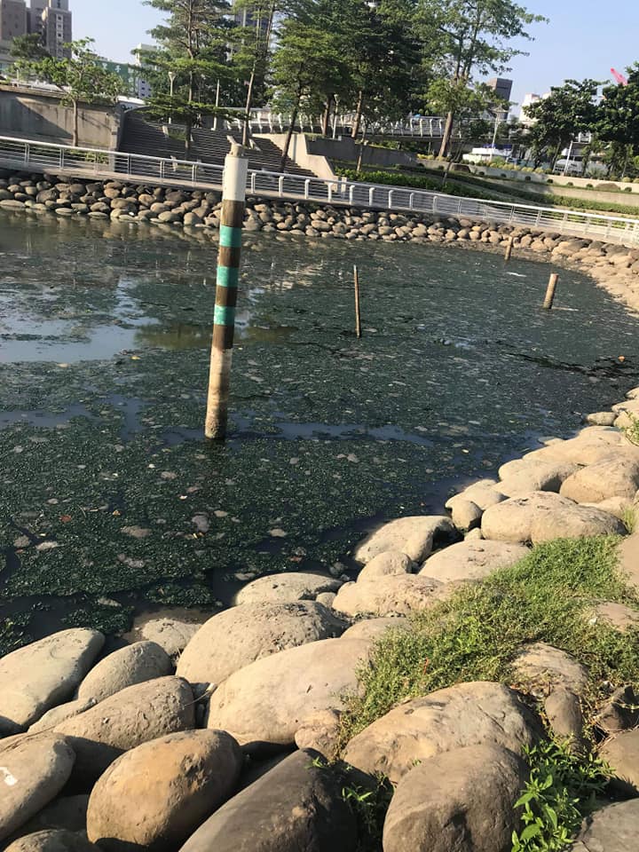 黃光芹臉書PO出今年9月「愛河之心」又髒又臭實況。 圖：翻攝黃光芹臉書