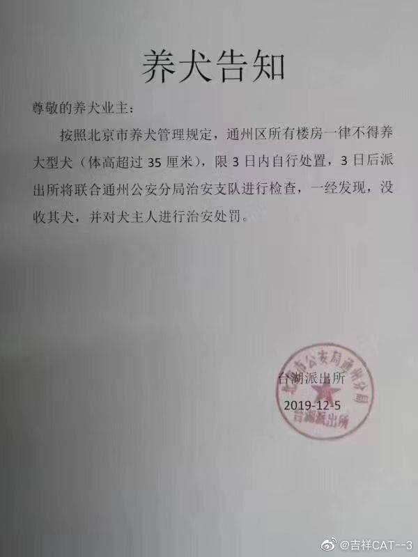 北京市近日頒布最新「養犬管理規定」。 圖：翻攝自「綠黨」臉書