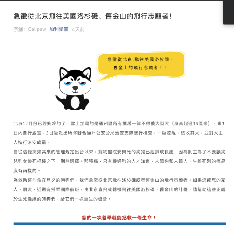 北京市近日頒布最新「養犬管理規定」。飼主為了保護愛犬生命，拜託人把寵物帶到國外。 圖：翻攝自「綠黨」臉書