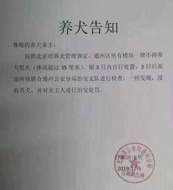 北京近日頒布最新「養犬管理規定」，針對大型犬隻進行撲殺。 圖：翻攝自「綠黨」臉書