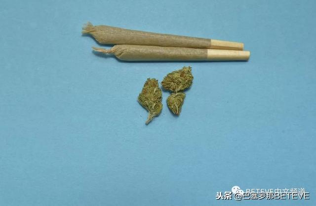 大麻製品。 圖 : 翻攝自微信