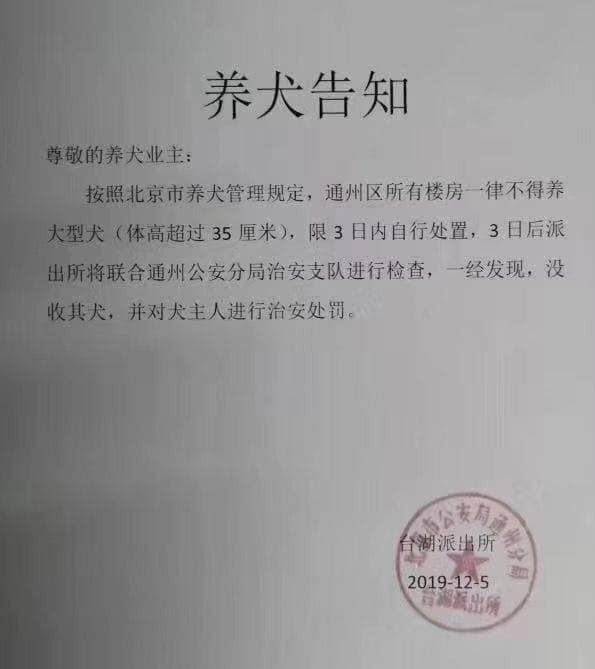 中國北京頒布「限狗令」，要求飼養體型超過35公分大型犬的飼主，在3日內自行處置犬隻。 圖：翻攝自綠黨臉書