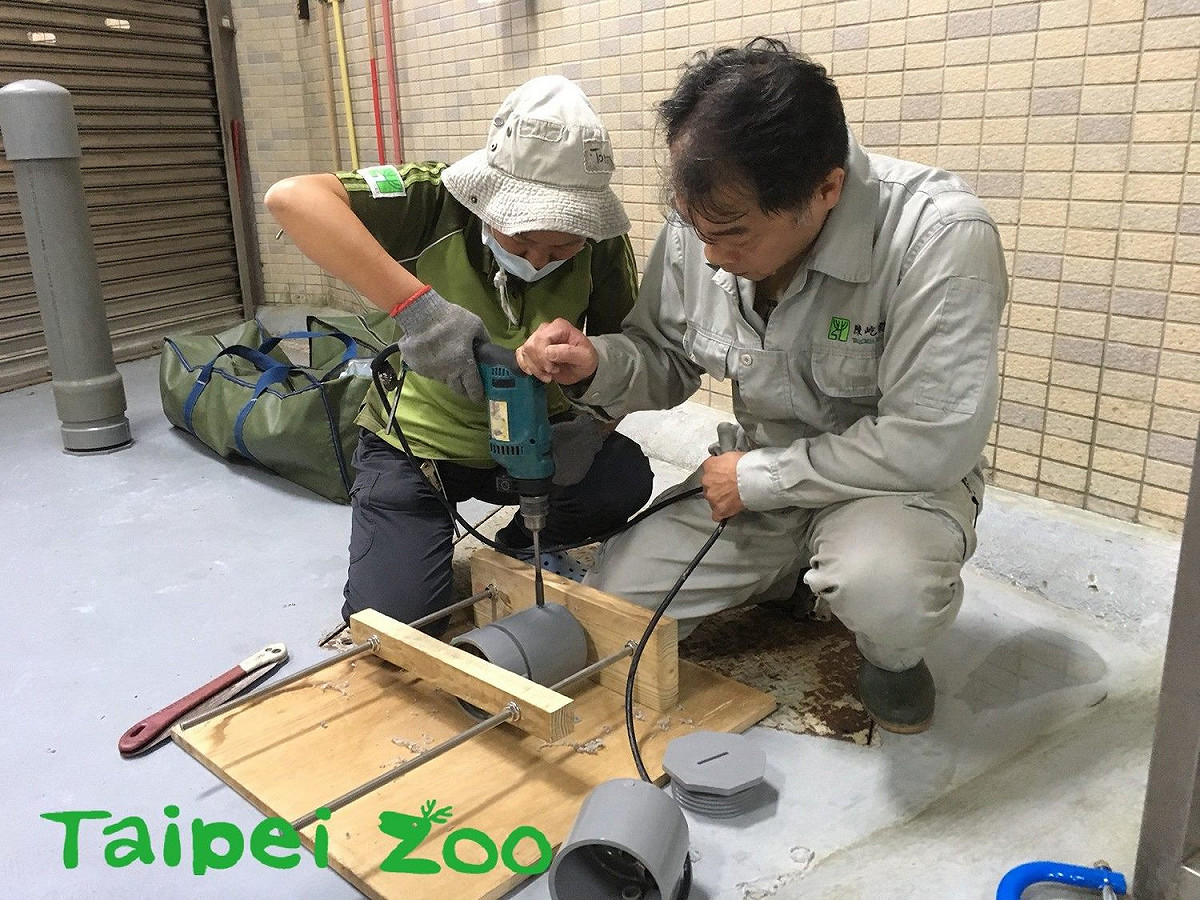保育員正在DIY動物們的行為豐富化玩具。 圖：台北市立動物園／提供