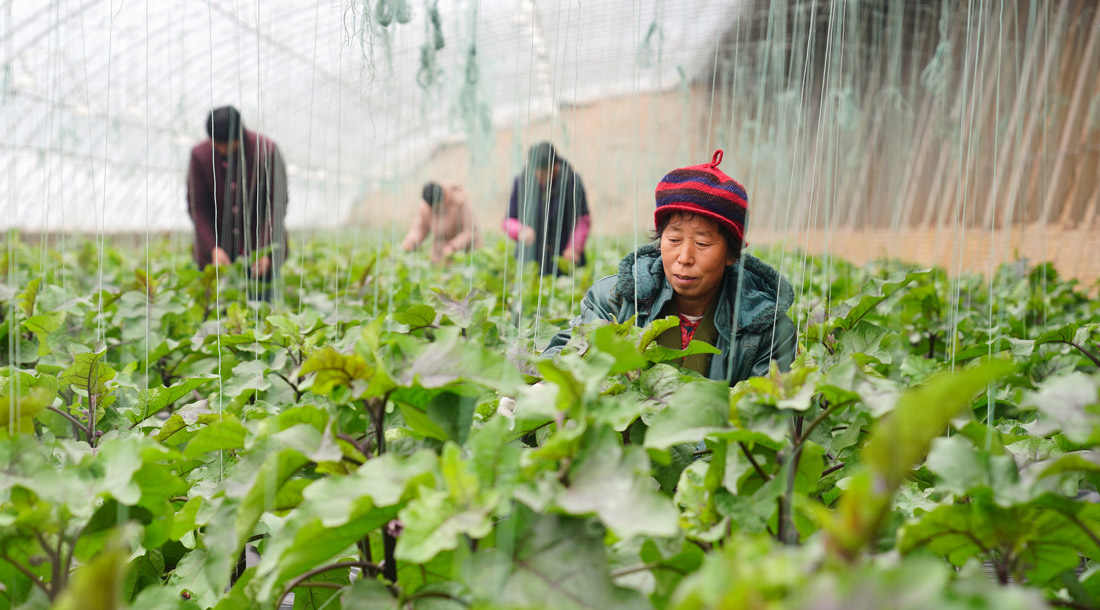 中國城鎮失業率節節上升，至2019年9月已經高達5.2%，創下紀錄。 圖：翻攝自中國政府官網