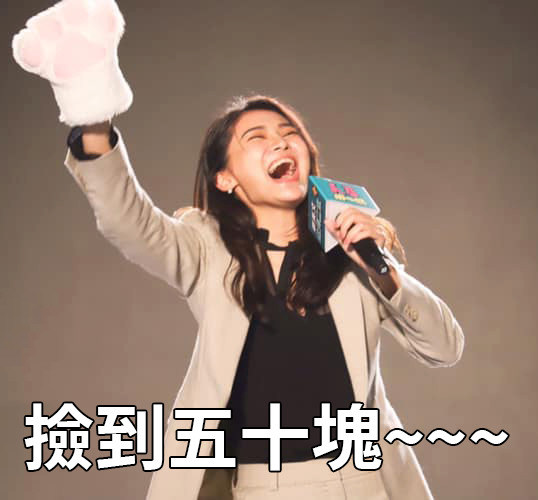 賴品妤在競選過程中，因表情慷慨激昂，時常被網友製成迷因梗圖。 圖:翻攝自只是堵藍臉書