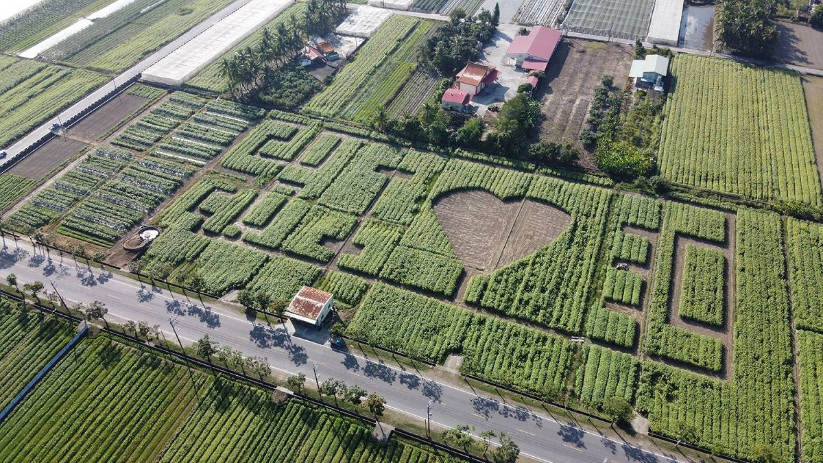 葵花圖騰秀出大大的「2020 I ❤ 30」。 圖：翻攝自高雄市杉林區公所臉書