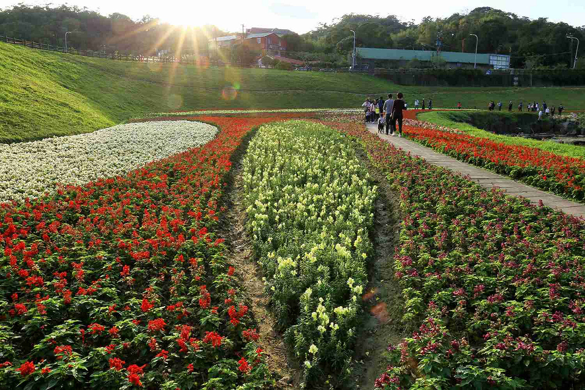大溝溪的植被依著小山坡蜿蜒，花圃、綠草與流水相伴，地勢平坦好逛。 圖：台北市水利處／提供