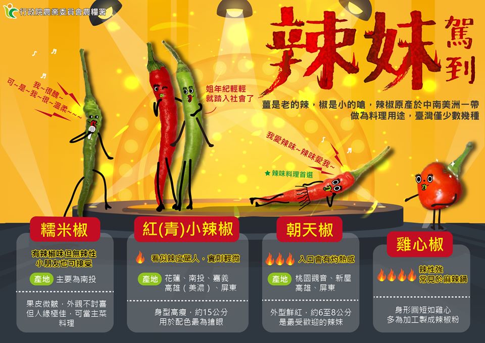 辣椒的品種眾多，依漿果果形有球形、圓錐、長角及扁圓形等，各有調味、鮮食、漬泡以及觀賞的功能 圖：取自農委會粉絲專頁