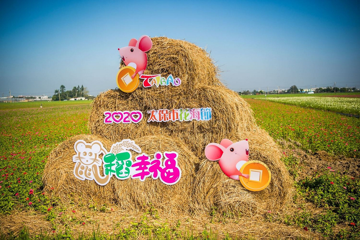 「2020太保市花海節鼠到幸福」從1/19開始到29日結束，規劃3大主題花海區。 圖：嘉義縣政府／提供