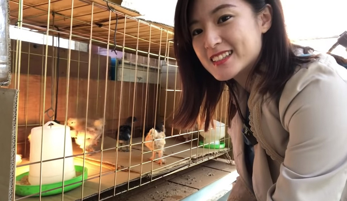 韓辦發言人何庭歡。 圖:翻攝自何庭歡Youtube頻道