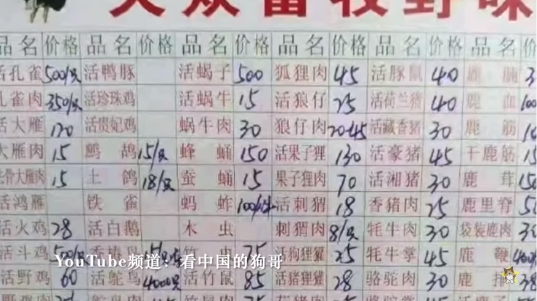 中國大陸衛健委證實武漢肺炎新型冠狀病毒的來源是武漢市一家海鮮市場非法銷售的野生動物。 圖：翻攝看中国的狗哥DogChinaShow Youtube頻道