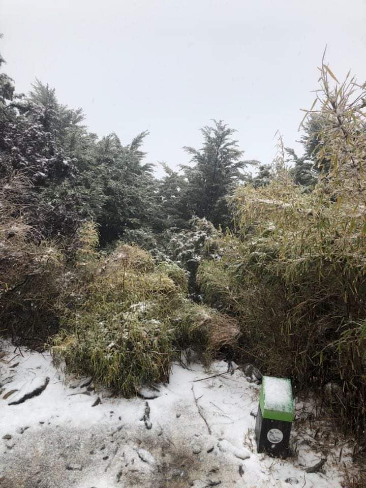 北大武山山頂白雪。屏東林管處表示，是自民國94年以來，首度飄瑞雪。 圖：翻攝屏東林區管理處北大武山資訊站臉書