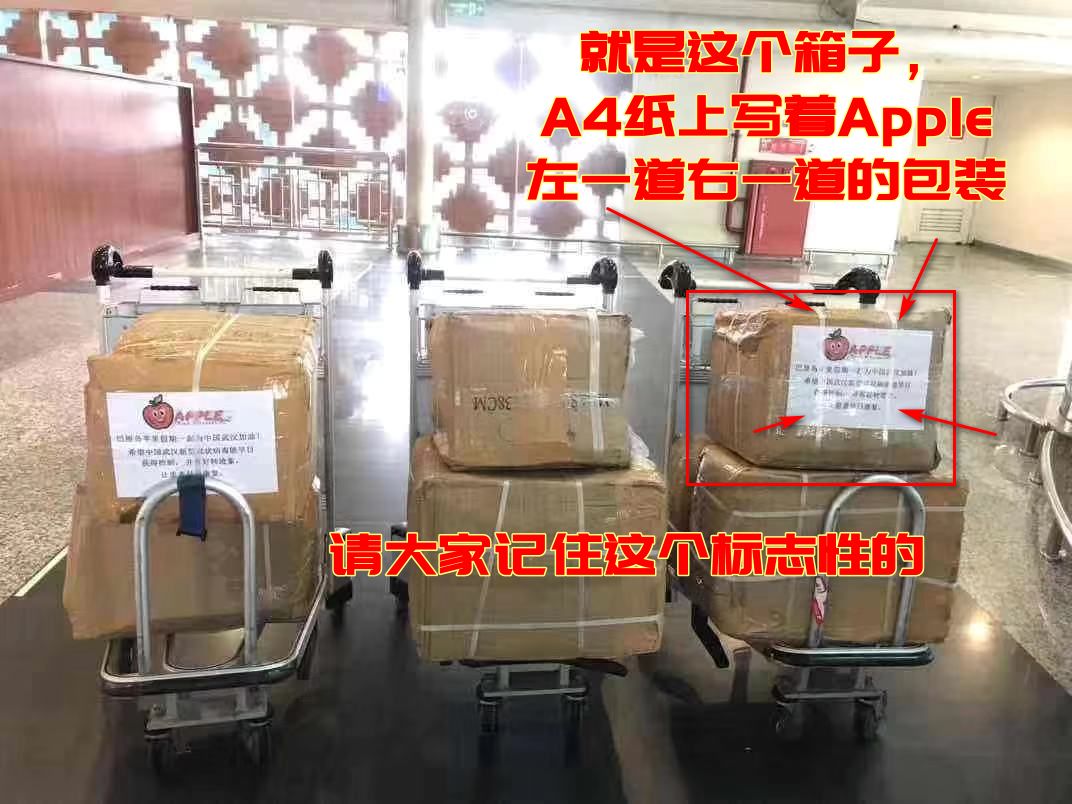 有印尼華僑在峇里島掃光庫存口罩，通過空運發回中國，其中有個箱子貼有標誌性的貼紙，上面寫著Apple和蘋果的圖像。 圖：翻攝自抖音