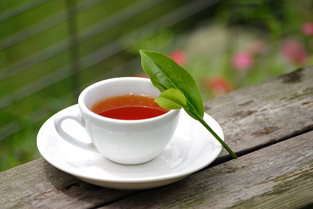 近期網路流傳著紅茶、普洱茶可抗新型冠狀病毒的說法，食藥署今（4）日闢謠指出，茶類屬食品，沒有治療疾病的效果。 圖：取自農委會水土保持局官網