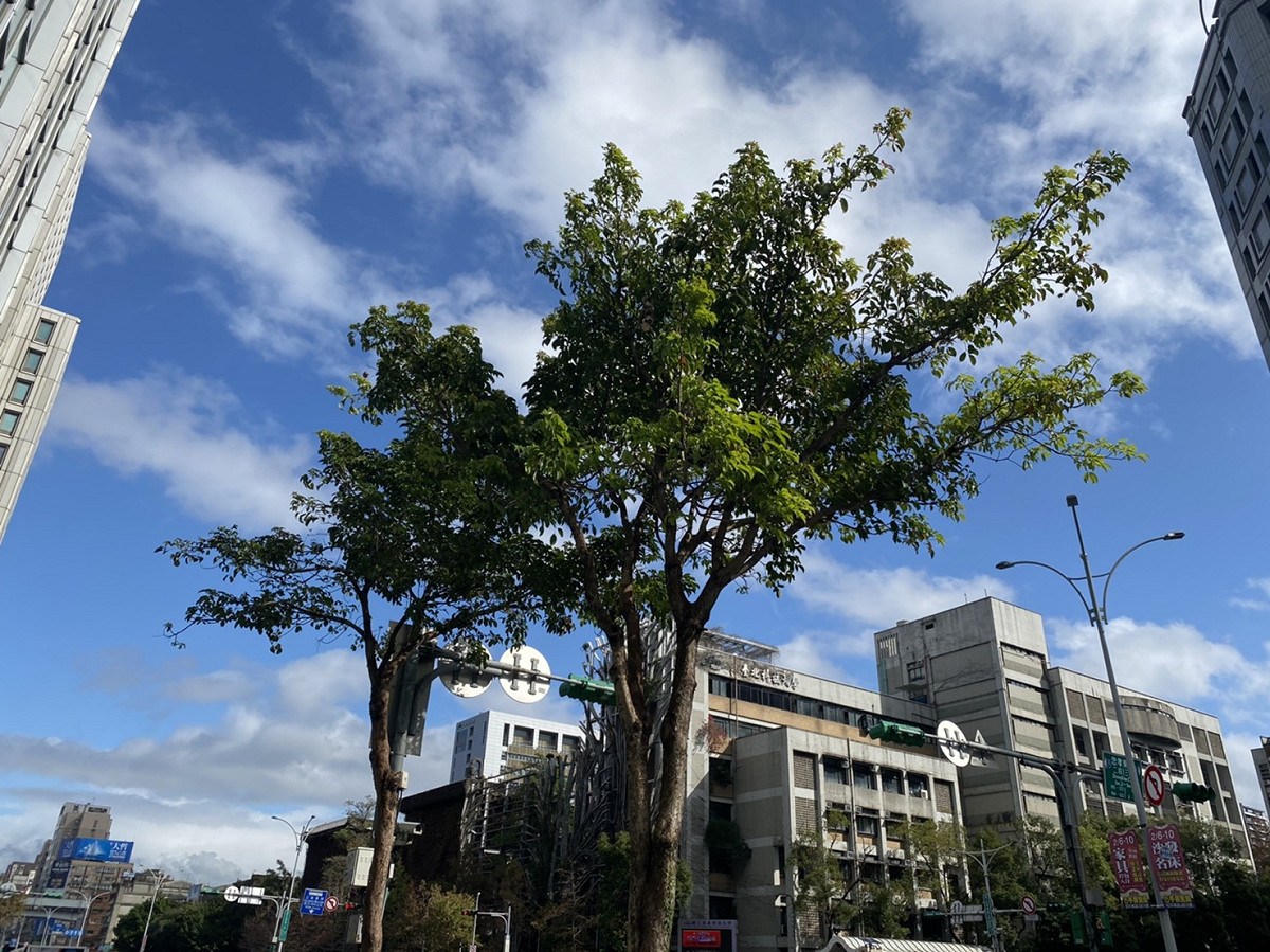 今（30）日東北季風減弱，氣溫呈現回升趨勢。 圖：閻芝霖／攝