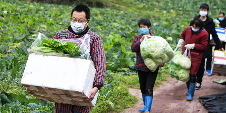 中國武漢肺炎疫情嚴重，目前已經有近70座城市封城。 圖：翻攝自中國政府官網