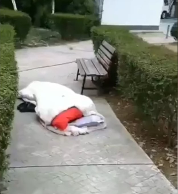 他們在地板舖上幾片紙板，再放上簡單的棉被，盼能度過這個寒冬。 圖：翻攝自Youtube
