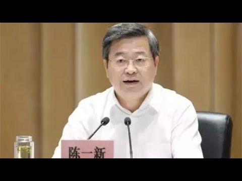 中共中央政法委秘書長陳一新，日前就任中央指導組副組長坐鎮武漢，他坦承，目前武漢還有一大批危重和重症病人，數量仍在增加。 圖：取自明鏡火拍youtube