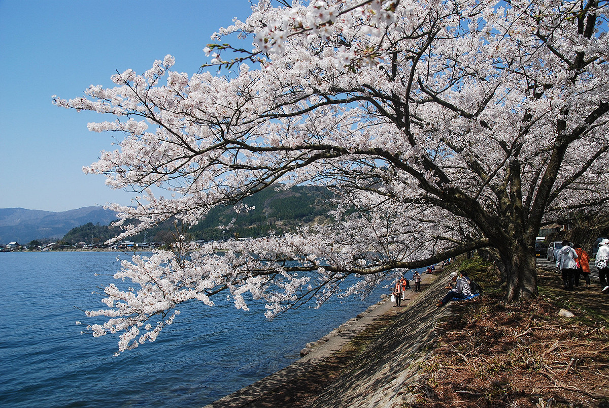 最近日本湧現退團潮，消費者要如何跟旅行社爭取到合理的退款？請先參考觀光局訂出的退款標準。 圖：謝佳真／攝