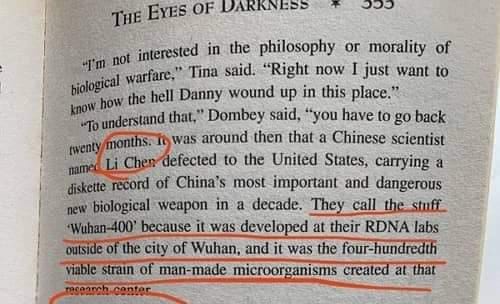 蘇菲亞．布朗撰寫小說提到武漢傳出病毒，將在全球造成災難。 圖：翻攝自Black Civilisation Network臉書