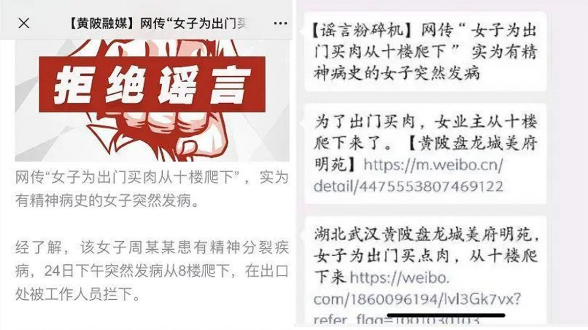武漢市黃陂區宣傳部特別查證消息，確認該名武漢女子確實患有精神病。 圖：翻攝自微信