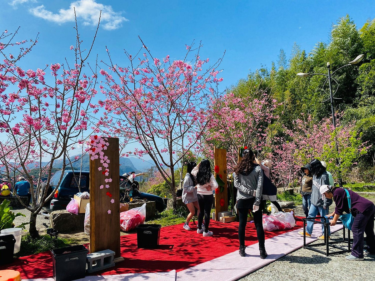 阿里山國家風景區管理處以櫻花季觀光宣傳影片「春櫻夜遊園驚夢」奪得「最佳東亞影像獎」。 圖：翻攝自阿里山新印象臉書