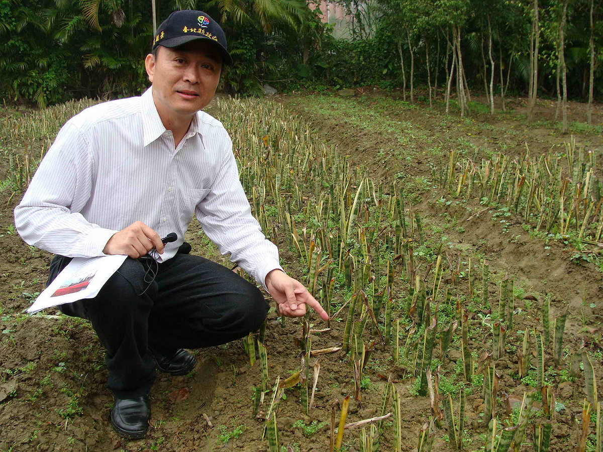 陳淵泉擔任過8年新北市綠美化景觀處處長。 圖：王峻昌/攝