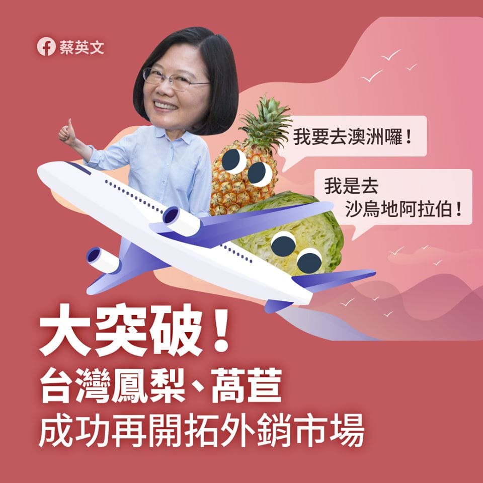 總統蔡英文強調，「不把雞蛋都放在同一個籃子裡的方向正確」。  圖：翻攝蔡英文臉書