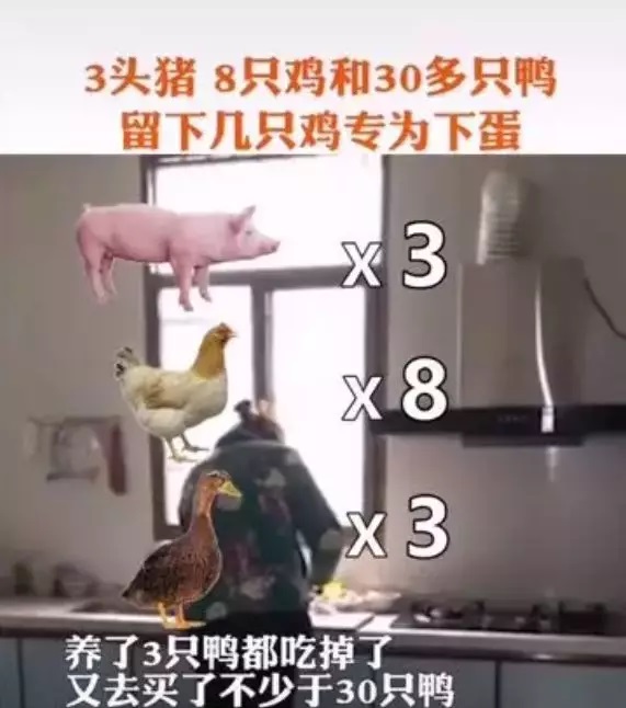 (影)武漢肺炎》一家9口探親滯留湖北40天 親家差點被吃垮