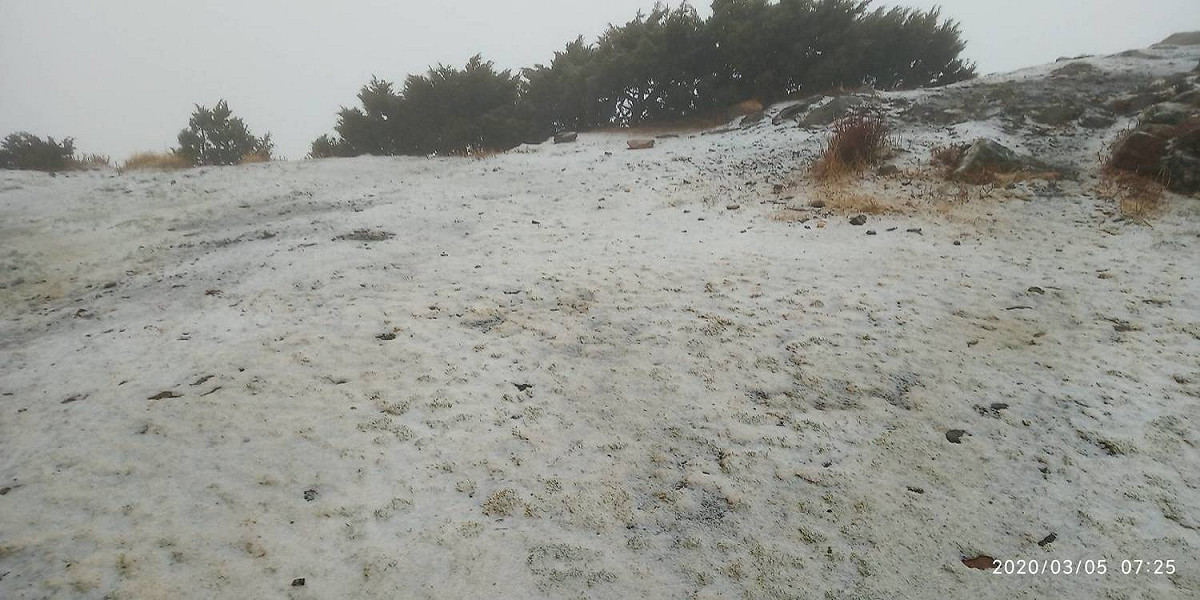 中央氣象局表示，受到大陸冷氣團及華南雲雨區東移，天氣濕冷，今天早上7時10分玉山降下3月雪 圖：中央氣象局/提供