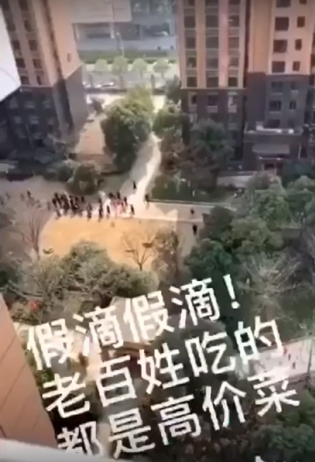 中國國務院副總理孫春蘭一行巡視湖北武漢市社區，來到一處公寓大廈中庭，被住戶隔空怒嗆。 翻攝自youtube
