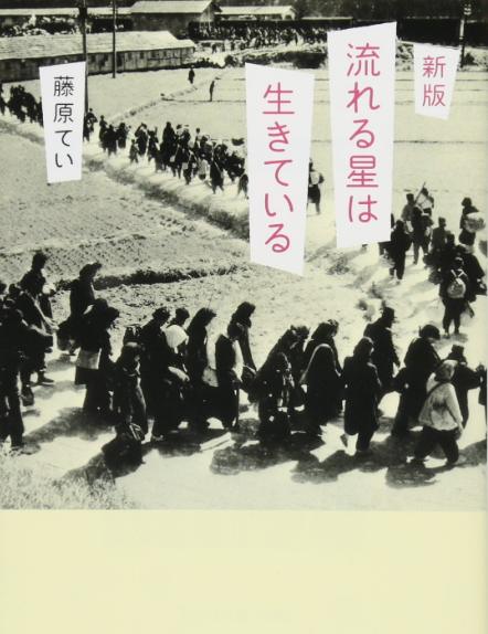 《流星依然活著》封面 日本網路書店，邱振瑞翻攝